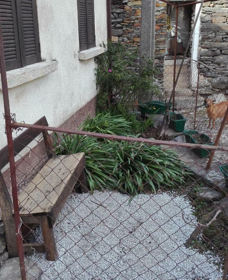 Ferienwohnung Casa Bernaldo Covas do Monte Exterior foto